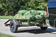 9th Oct 2024 - Field Corn...