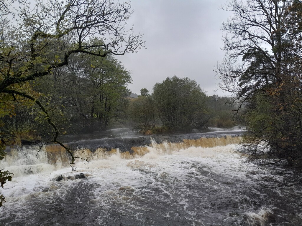 the weir by anniesue