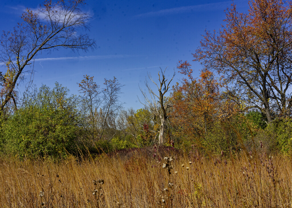 autumn landscape  by rminer