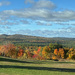 Autumn in the hills