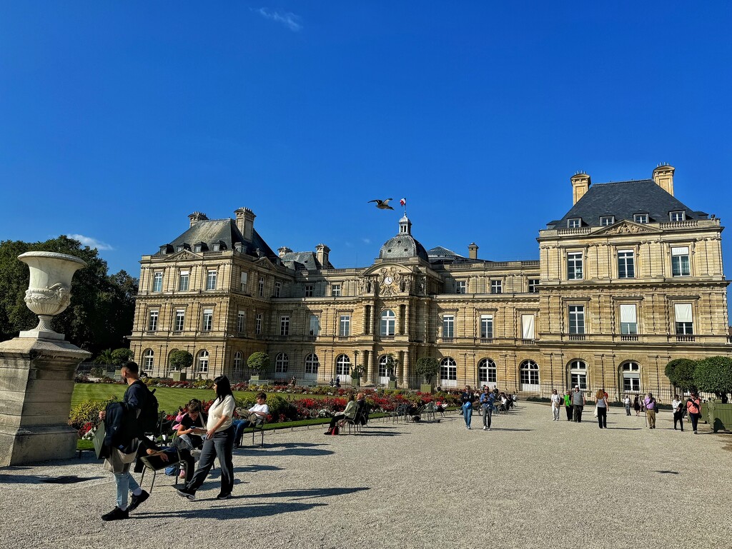 In Luxembourg garden.  by cocobella