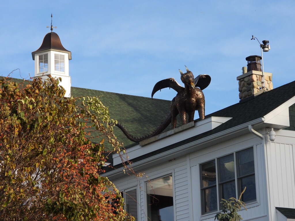 dragon on the roof by amyk