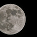 Tonight's Full Moon!