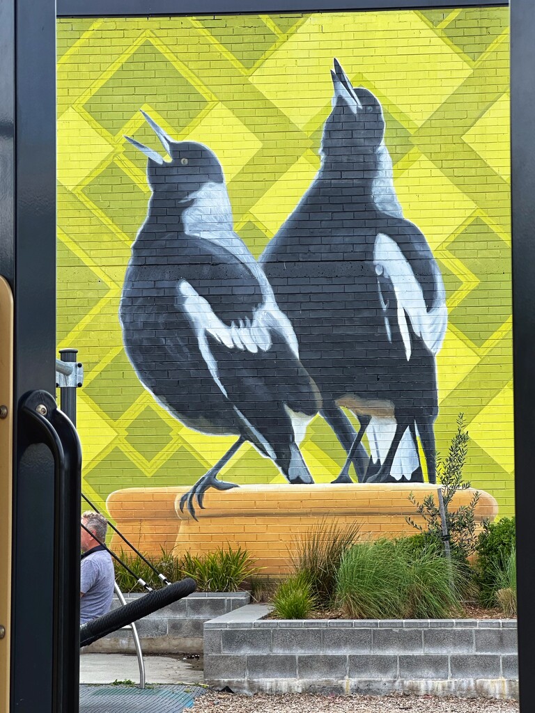 Street art; maggies by pusspup