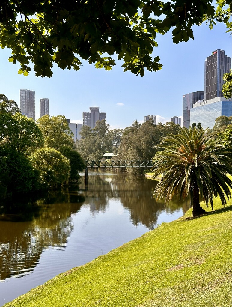 Parramatta River by kjarn