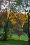 17th Oct 2024 - Porch view