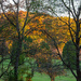 Porch view