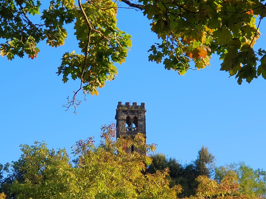 Autumnal Tower by will_wooderson