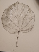 17th Oct 2024 - Leaves