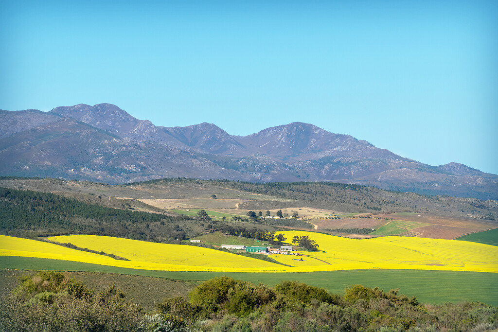 A farm nestled between the fields. by ludwigsdiana