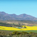 A farm nestled between the fields. by ludwigsdiana