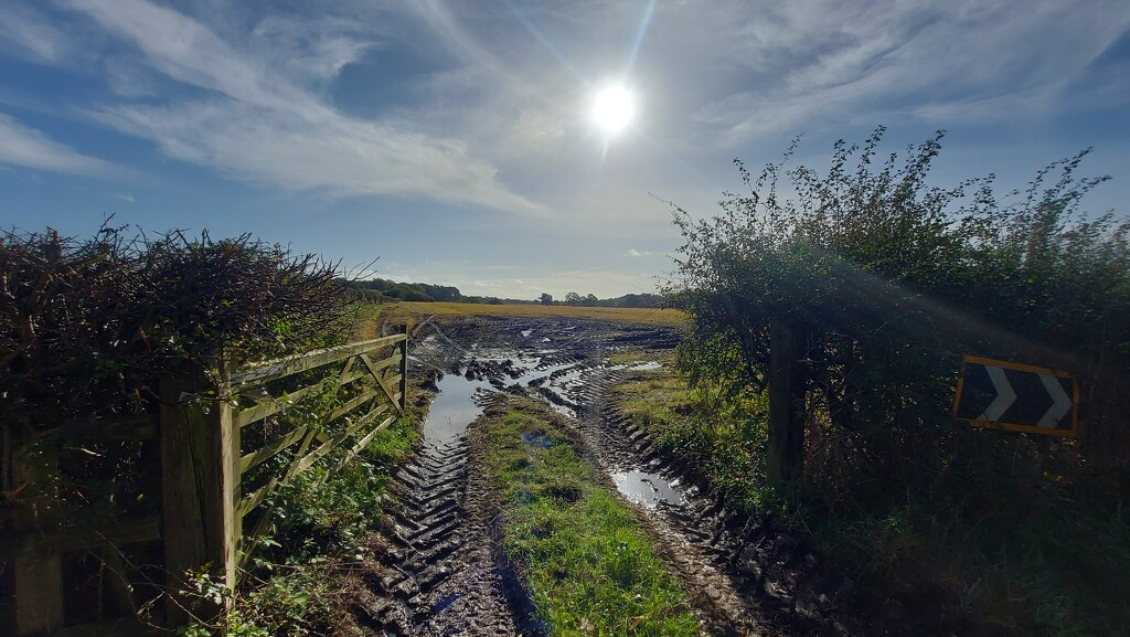 Sunshine After the Rain by antmcg69