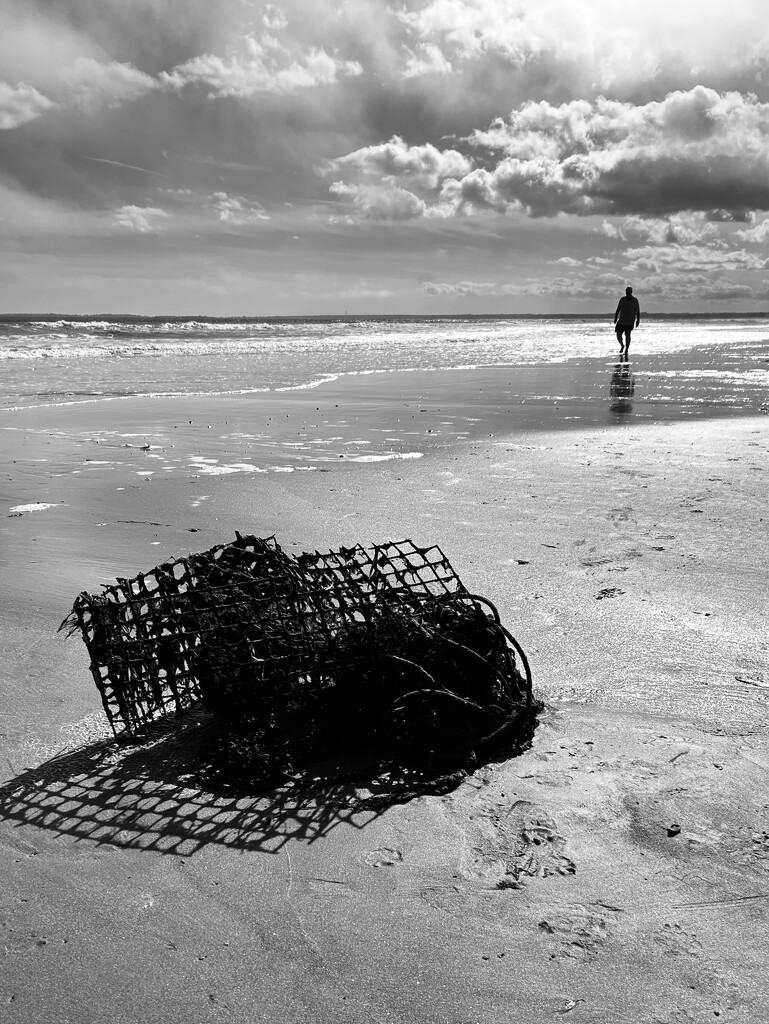 Rusty cage by fperrault