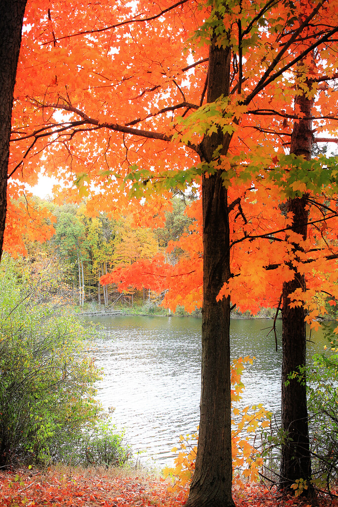 Autumn Hike 19 - Fishin' Spot by juliedduncan