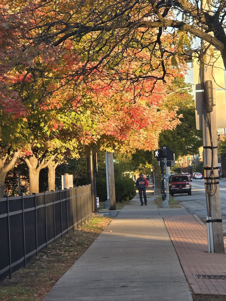 1000007871 Autumn on Detroit by jazzygee