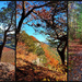 A Hike on the Cliff Trail