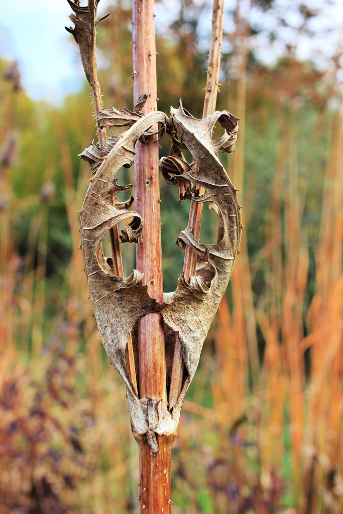 Autumn Hike 20 - Portal by juliedduncan