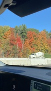 17th Oct 2024 - Autumn Colours