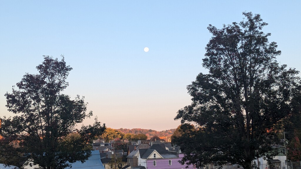 Full Moon this Morning by julie