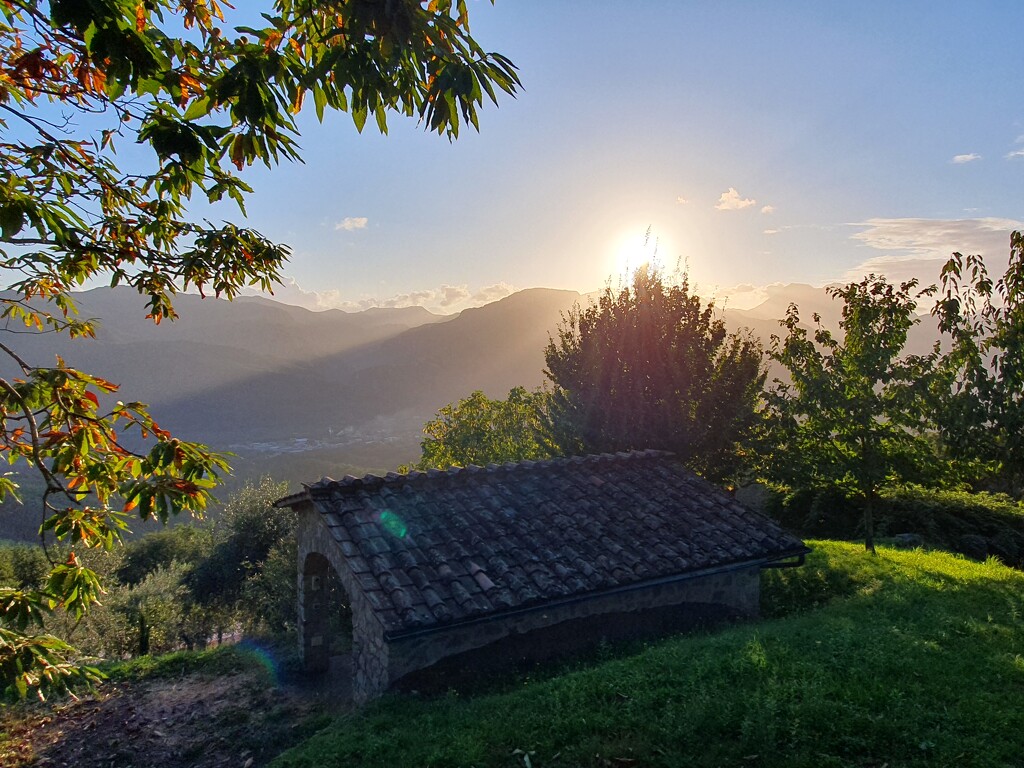 Woodshed with Blazing Sun by will_wooderson