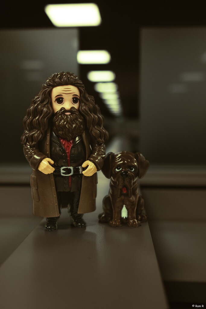 Hagrid Got Friend to Work  by ramr