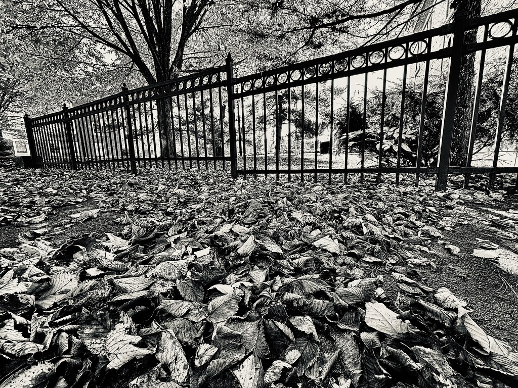 Wrought Iron Autumn by rickaubin