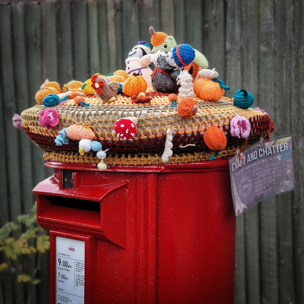 A rather soggy Topper by andyharrisonphotos