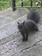 18th Oct 2024 - Curious 