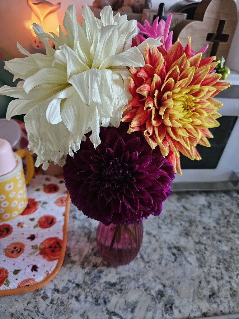 Friday Night Dahlias by mmccall