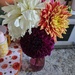 Friday Night Dahlias