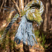 A blue rope tied in a knot hanging in a tree in the woods