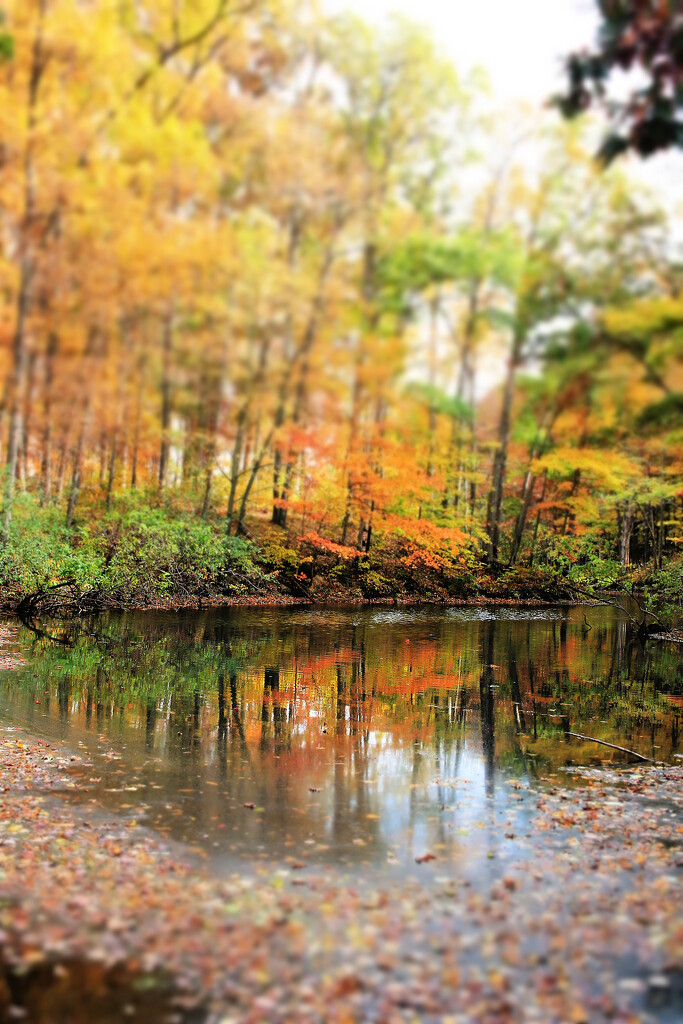 Autumn Hike 23 - Little Inlet by juliedduncan