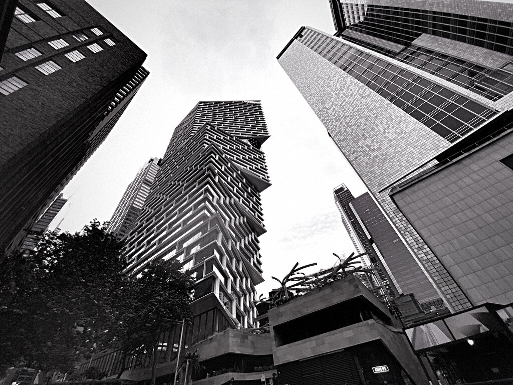 New AMP building in centre. Old AMP on the right. Sydney.  by johnfalconer