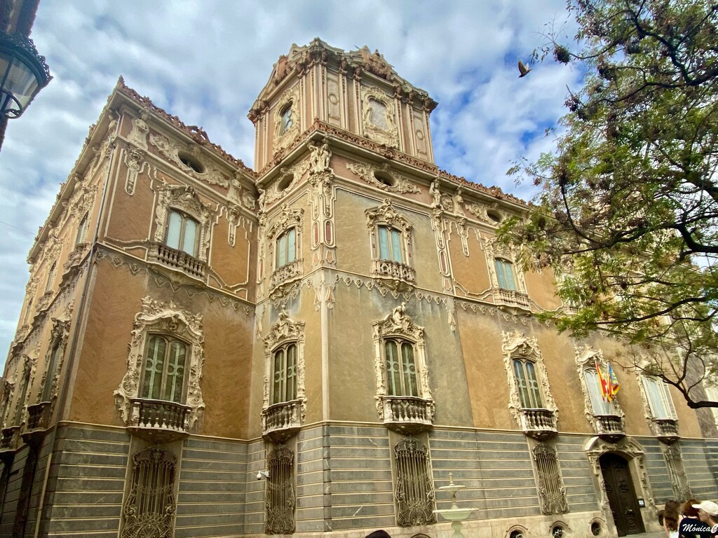 Palacio del Marqués de Dos Aguas by monicac