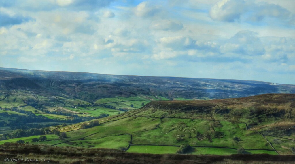 Farndale by craftymeg