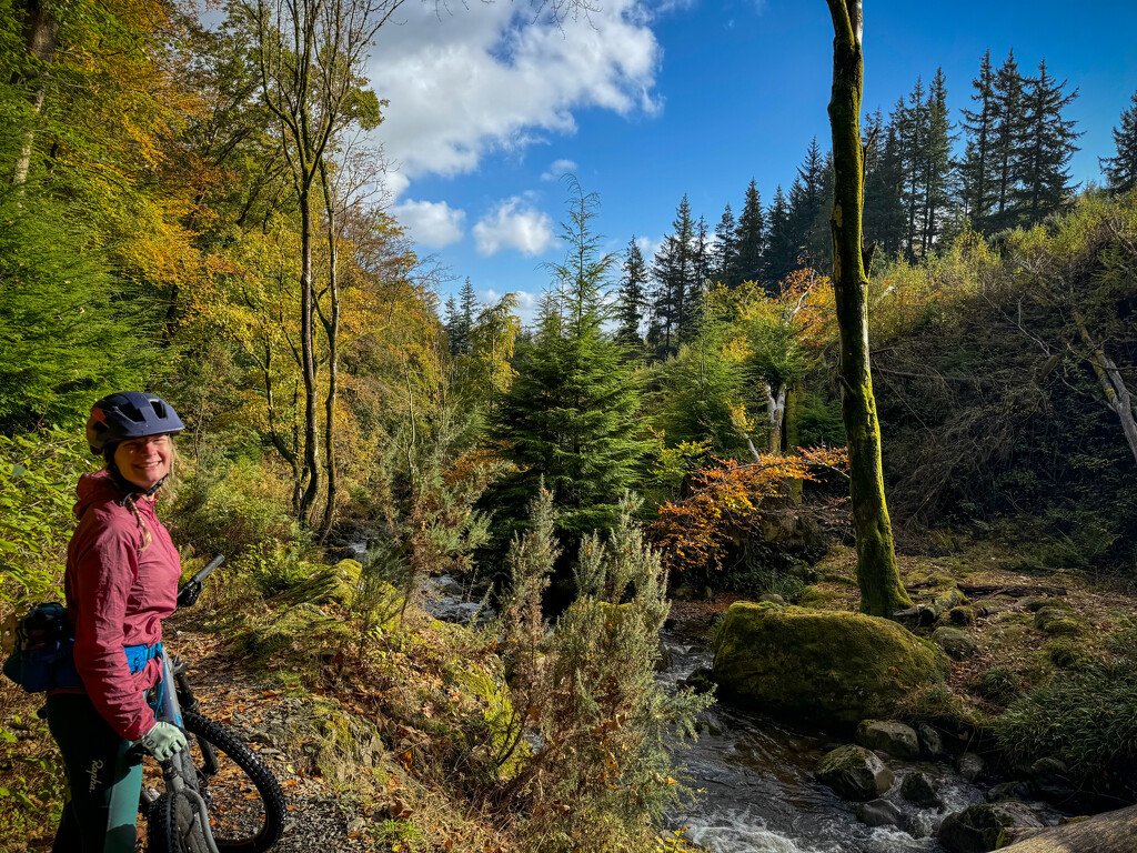 Whinlatter Forest by eviehill