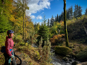 19th Oct 2024 - Whinlatter Forest