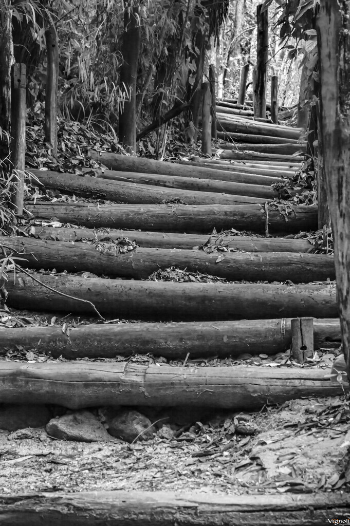 Stairway to.... by vignoli