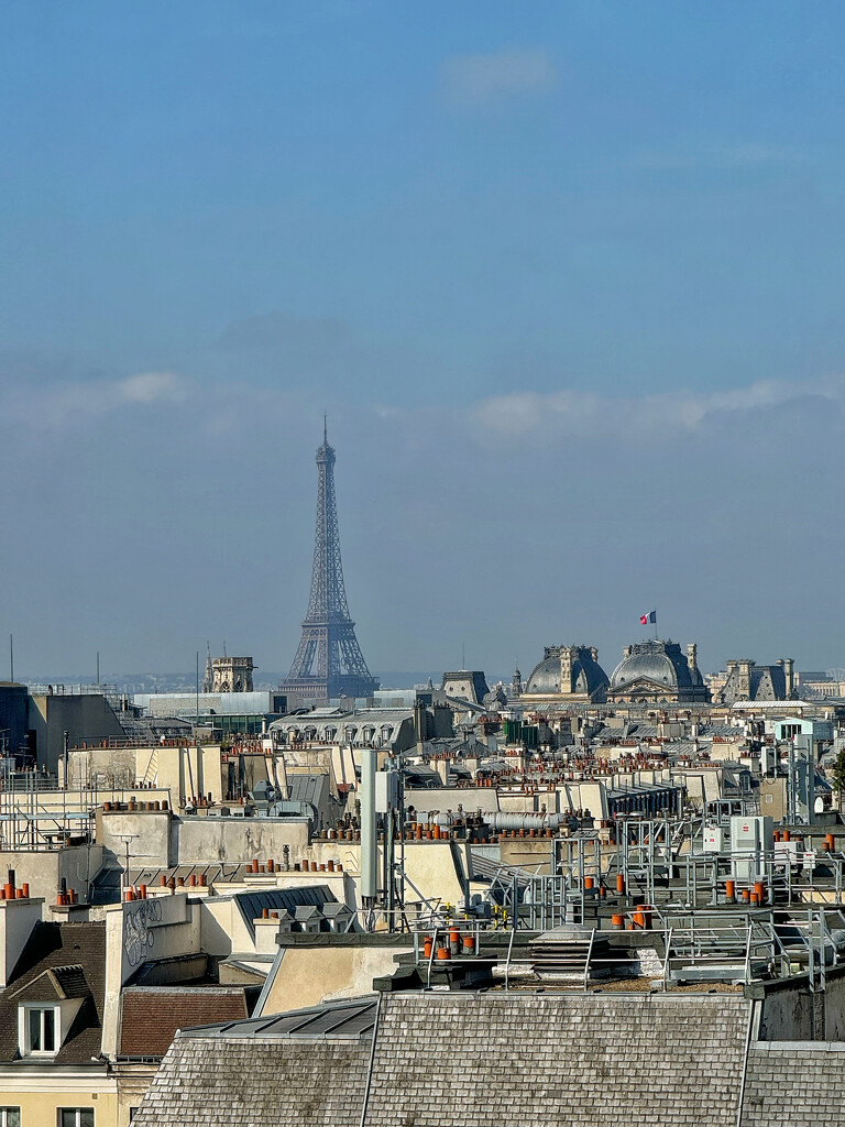 View on the Eiffel Tower.  by cocobella