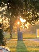 19th Oct 2024 - Evening Light 
