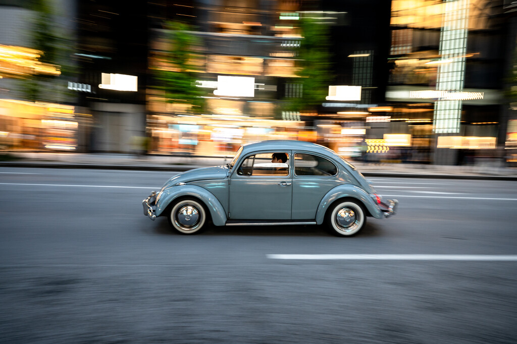 Panning in Japan by jackies365