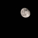 Waning Gibbous Moon