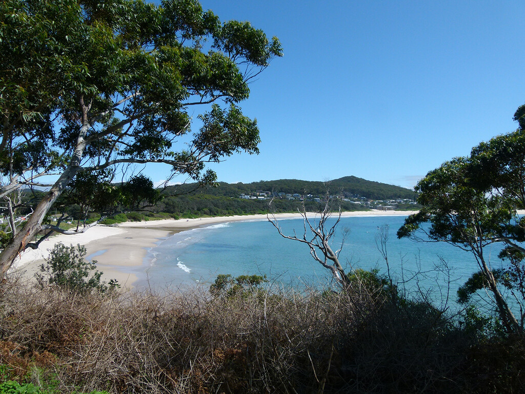 Fingal Bay From Barry Park by onewing