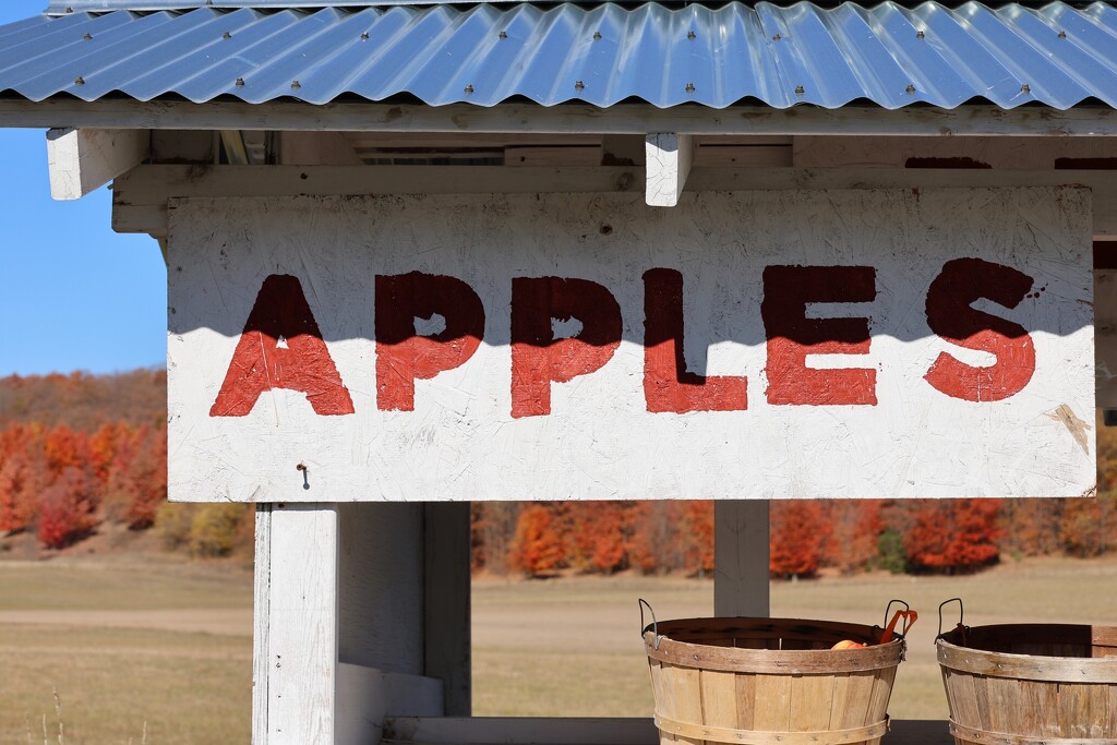 Apples by edorreandresen