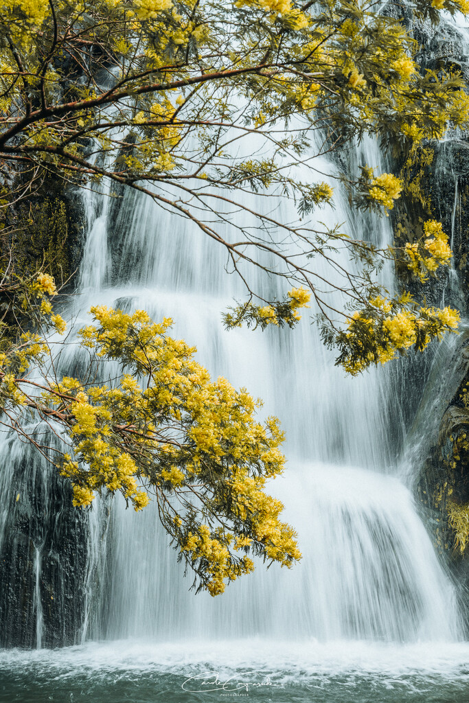 Owheroa Falls  by yorkshirekiwi