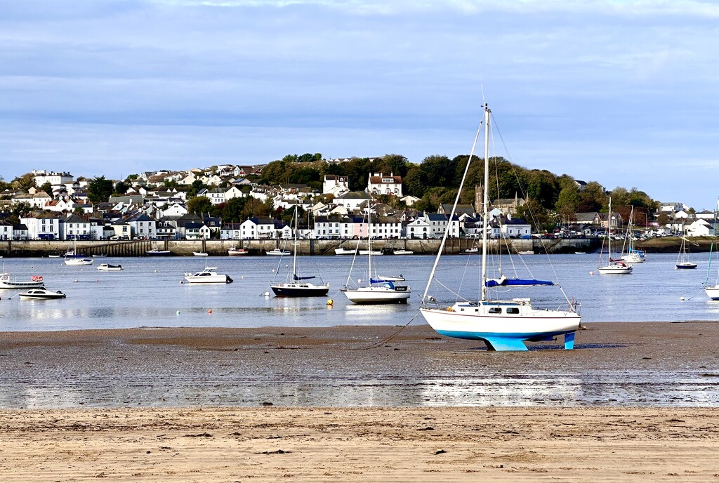 Appledore by pamknowler