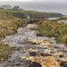 Beach Bridge 