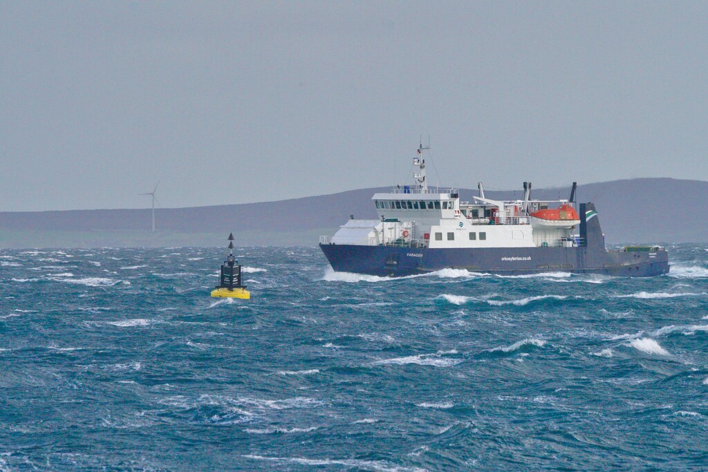 ROUNDING THE BUOY by markp