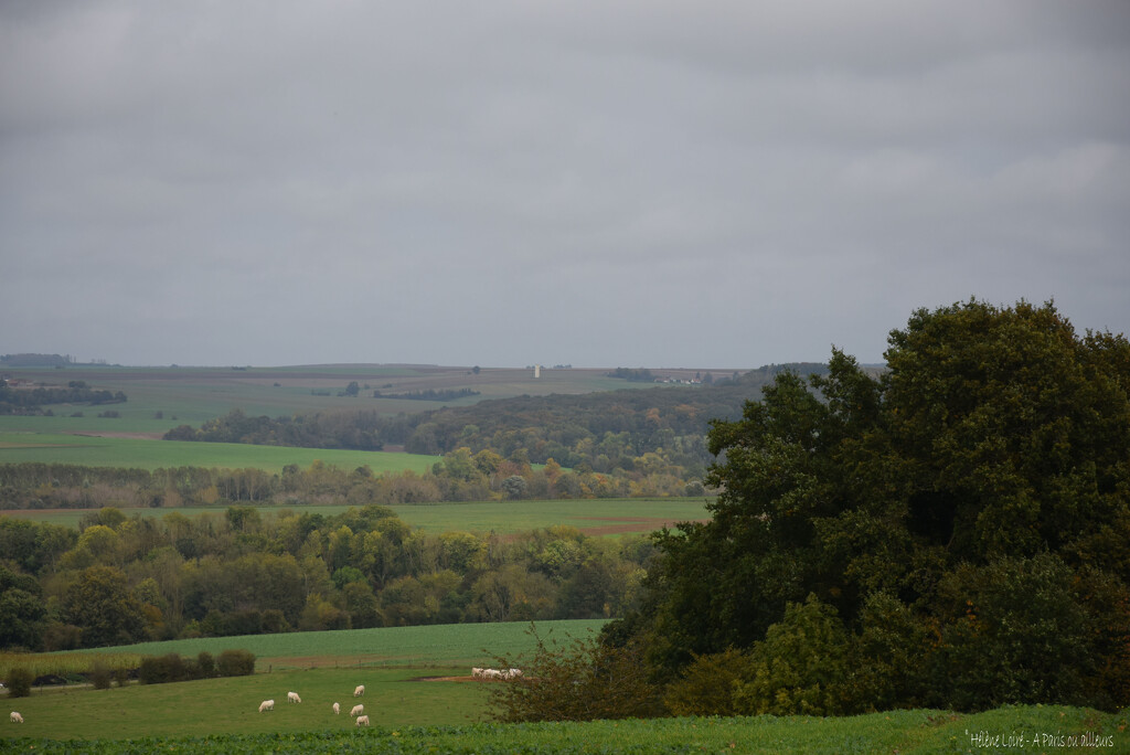 a walk in the countryside by parisouailleurs