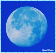 20th Oct 2024 - Blue Moon